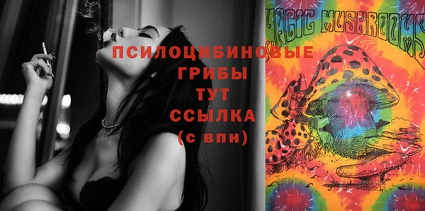 прущий лед Аркадак